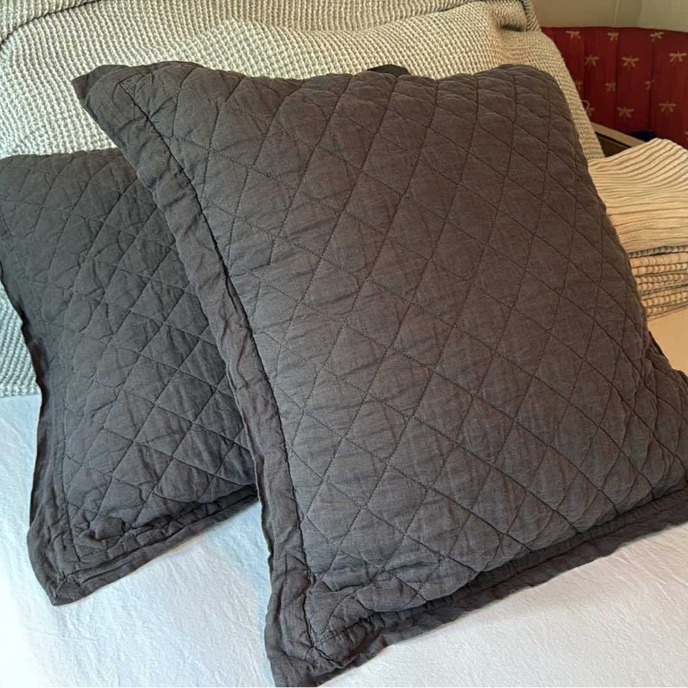 Pottery Barn Euro Quilted Shams